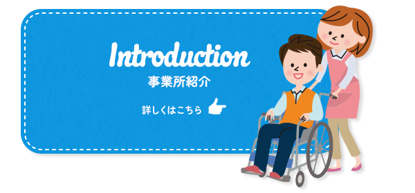 bnr_half_introduction